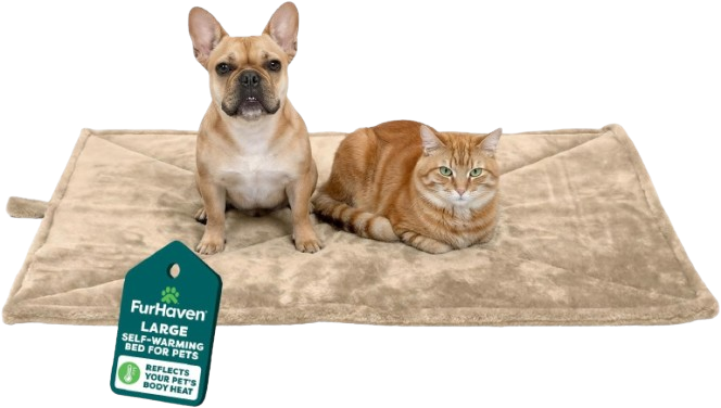 ThermaNAP Self-Warming Cat Bed by furhaven
